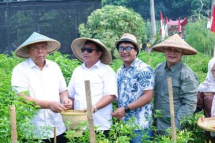 Wali Kota Tangerang Selatan Benyamin Davnie Panen Raya Berbagai Hasil Pertanian di Parigi Baru, Pondok Aren, Tangsel