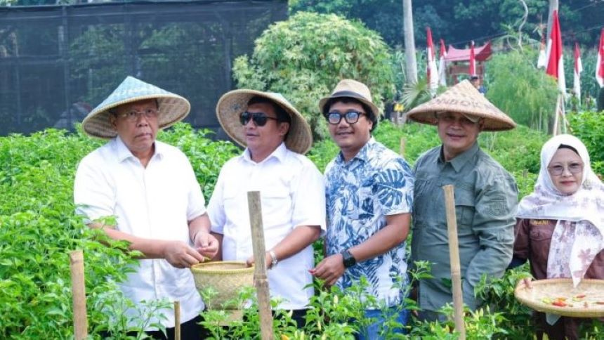 Wali Kota Tangerang Selatan Benyamin Davnie Panen Raya Berbagai Hasil Pertanian di Parigi Baru, Pondok Aren, Tangsel